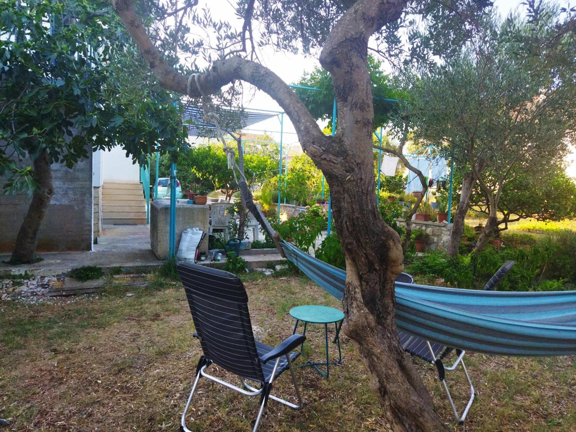 Apartment Alenka ムルテル エクステリア 写真